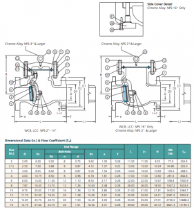 dsi cast steel swing check valve 600